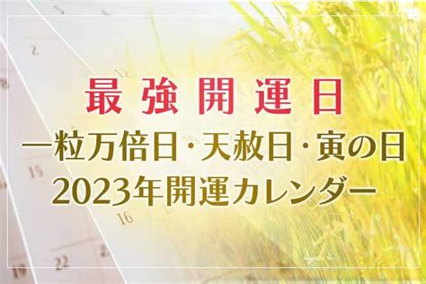 2023寅辰日